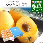 母の日ギフト 長崎県より産地直送 JA長崎せいひ 長崎びわ なつたより 秀品 1キロ化粧箱 (12玉から15玉) 送料無料 枇杷 母の日びわ