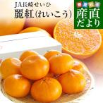 ショッピングせとか 長崎県より産地直送 JA長崎せいひ 麗紅 (れいこう) 3LからLサイズ 優品以上 2.5キロ (10玉から15玉) 送料無料 柑橘 オレンジ れいこうかん 麗紅柑 西彼 伊木力