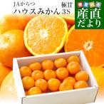 佐賀県より産地直送　JAからつ　ハウスみかん　３Ｓサイズ 　約1.2キロ（約30玉）　蜜柑　ミカン 送料無料　