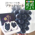  Yamanashi префектура .. прямая поставка от производителя JA фрукты Yamanashi . гора главный место ..... черный свекла высший класс и т.п. класс : сердце . расческа примерно 1.3 kilo (650g×2.) бесплатная доставка * прохладный рейс 