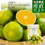  Kumamoto префектура .. прямая поставка от производителя JA олень книга@ зеленый house мандарин S из SS размер примерно 2.5 kilo ( примерно 32 шар из 40 шар ) несессер ввод бесплатная доставка mi can меласса .. покупка 