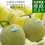 茨城県産 JA茨城旭村 アールスメロン 糖度13度以上 約3キロ(大2玉)送料無料 めろん ギフト 夏ギフト お中元 御中元