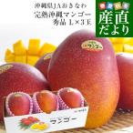 沖縄県より産地直送 JAおきなわ 完熟沖縄マンゴー 秀品 Lサイズ×3玉 合計900g (約300g×3玉) 送料無料 まんごー ギフト 夏ギフト お中元 御中元