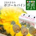 沖縄県より産地直送 JAおきなわ 石垣島産 ボゴールパイン 3玉セット 合計1.8キロ前後 (600g×3玉) 送料無料 沖縄パイン パイナップル パインアップル