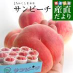  Fukushima префектура .. прямая поставка от производителя JA. расческа . будущее высший класс бренд персик [ солнечный pi-chi] примерно 3 kilo (9 шар из 12 шар ) бесплатная доставка персик ..pi-chi