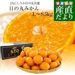 [ подарок по случаю конца года подарок ] Ehime префектура .. прямая поставка от производителя JA.... "солнечный круг" мандарин тысяч обе L из S размер 5 kilo (40 шар из 60 шар ) бесплатная доставка меласса .mi can 