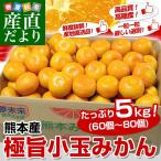 お一人様2箱まで！送料無料　熊本県より産地直送　JA熊本市　夢未来　極旨小玉みかん　5キロ（60個から80個） ミカン　蜜柑　みかん 5kg