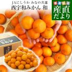  Ehime префектура .. прямая поставка от производителя JA....... вместе выбор запад . мир мандарин мир (...) L из S размер примерно 5 kilo (40 шар из 60 шар передний и задний (до и после) ) бесплатная доставка меласса .mi can 