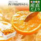 送料無料　愛媛県より産地直送 JAにしうわ　西宇和温州みかん　極旨小玉　3キロ（36玉から48玉）　蜜柑　みかん　ミカン