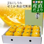 ショッピングせとか 愛媛県より産地直送 JAにしうわ せとか 秀品  約3キロ ３LからLサイズ (10玉から15玉) 送料無料 セトカ 西宇和