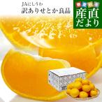 愛媛県より産地直送 JAにしうわ せとか 良品 ちょっと訳あり 3LからLサイズ 3キロ (10玉から15玉)  セトカ 西宇和 八幡浜 送料無料