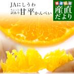 ショッピング甘平 愛媛県 JAにしうわ 甘平(かんぺい) ちょっと訳あり 3LからLサイズ 約2.5キロ(8玉から14玉) 送料無料 カンペイ 西宇和