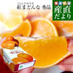 愛媛県より産地直送 JAえひめ中央 紅まどんな 秀品 3LからLサイズ 約3キロ(10玉から15玉)　送料無料 紅マドンナ オレンジ 御歳暮 お歳暮 ギフト