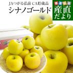 青森県より産地直送 JAつがる弘前 シナノゴールド CA貯蔵品 約3キロ（9玉から13玉）送料無料 りんご しなのごーるど