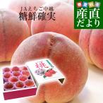 新潟県より産地直送 JAえちご中越 にいがたの特秀桃「糖鮮確実 (とうせんかくじつ)」 3キロ (9玉から12玉) 送料無料 もも モモ