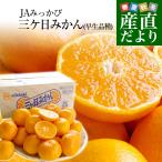 静岡県より産地直送 JAみっかび 三ケ日みかん (早生品種) 大玉2Lサイズ 3.5キロ 送料無料 三ヶ日 みつかび ミカン 温州みかん