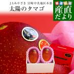 宮崎県より産地直送 JAみやざき 宮崎中央地区本部 太陽のタマゴ 最高級AA品 3L×2玉 (450gから509g×2玉) 送料無料 マンゴー たいようのたまご