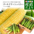 ショッピング朝までクール 宮崎県より産地直送 JAみやざき 宮崎中央地区本部 ハウス栽培 とうもろこし (ゴールドラッシュ) 2LからLサイズ 4.5キロ (13本から15本) 送料無料 ※クール便