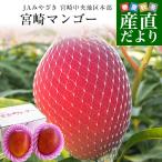 宮崎県より産地直送 JA宮崎中央 宮崎完熟マンゴー 大玉2L×2玉 合計700g以上 (350gから449g×2玉)  送料無料 まんごー 宮崎マンゴー