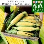 山梨県より産地直送 JAふえふき 豊富支所 とうもろこし (ゴールドラッシュ) 2Lサイズ 約5キロ (12本入り) 送料無料 とよとみ ※クール便