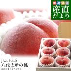 山梨県より産地直送 JAふえふき 八代支所の桃 青秀品 大玉約2キロ 化粧箱(大玉5玉から7玉)送料無料 もも モモ お中元 御中元