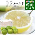 アメリカ産 メロゴールド 超特大サイズ 約5.3キロ（6玉）送料無料 グレープフルーツ 柑橘 市場発送