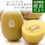 ニュージーランド産 ゼスプリ・サンゴールドキウイ「ジャンボサイズ」 約1.8キロ(12玉入り) 送料無料 キウイフルーツ