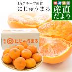  Saga префектура .. прямая поставка от производителя JA группа Saga ......4L из L размер примерно 5 kilo (13 шар из 25 шар передний и задний (до и после) ) бесплатная доставка .. 2 -слойный круг средний .. мандарин 