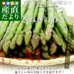 香川県より産地直送 JA香川県アスパラ さぬきのめざめ LからＭサイズ 約1キロ (50本から90本前後) 送料無料 丸亀市他 アスパラガス