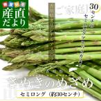 香川県より産地直送 JA香川県アスパラ さぬきのめざめ セミロング（約30センチ）訳ありご家庭用（細Aサイズ）1キロ入り 送料無料 30センチアスパラガス