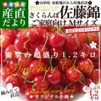 山形県より産地直送 さくらんぼ佐藤錦 ご家庭向け Ｍサイズ　たっぷり1.2キロ (約300g×4P入) 送料無料 クール便　サクランボ　桜桃　