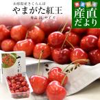  Yamagata префектура .. прямая поставка от производителя вишня [......] превосходящий товар 2L размер примерно 500g бесплатная доставка прохладный рейс sa Clan bo Sakura персик 
