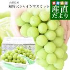  Yamagata префектура производство очень большой автомобиль in мускат примерно 1.6 kilo (2.) бесплатная доставка виноград .. виноград мускат белый виноград 