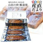 鹿児島県産 山田水産の極上国産うなぎ蒲焼「山田の粋(やまだのいき)」長焼(120g×4尾)送料無料 鰻蒲焼 ウナギ