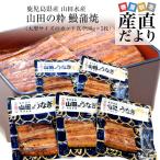 鹿児島県産 山田水産の極上国産うなぎ蒲焼「山田の粋(やまだのいき)」(大型サイズのカット真空80g×5枚) 鰻蒲焼 ウナギ