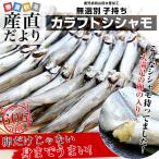 Yahoo! Yahoo!ショッピング(ヤフー ショッピング)鹿児島県山田水産より発送　鹿児島県加工　サイズ無選別　子持ちカラフトシシャモ（アイスランド産）1キロ（60尾前後）※クール冷凍便　送料無料