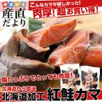 北海道から直送 北海道加工 脂たっぷりの紅鮭カマ（ロシア産）　1キロ（500g×2袋） 送料無料　シーフード