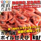 カナダ産 ボイル甘えび 1キロ（90から120尾）船上凍結品エビ 海老 蝦 赤えび 魚介 冷凍便