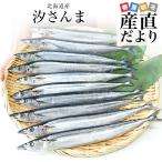 北海道産 汐さんま 10尾 合計約1.1キロ(1尾あたり約110g) 送料無料 秋刀魚 さんま サンマ 魚介