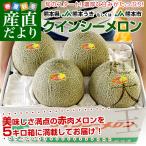 熊本県産 JA熊本うき又はJA熊本市 クインシーメロン 大玉 4Lから3L 5キロ箱 (大玉 3玉から4玉) 送料無料 市場スポット