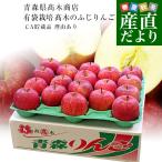 ショッピングりんご 青森県より産地直送 高木商店 マルタカブランド 高木のふじりんご CA貯蔵品 味優先の理由あり 約5キロ (16玉から18玉) 送料無料 林檎 リンゴ ※クール便