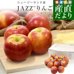 ニュージーランド産 JAZZりんご(品種_サイフレッシュ) 約2.6キロ(12玉から13玉入) 送料無料 リンゴ 林檎 ジャズりんご クール便 市場発送