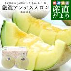  Kumamoto префектура из прямая поставка от производителя тщательно отобранный Anne tes дыня большой шар 3L размер super товар и больше примерно 2.5 kilo (2 шар входить ) * JA Kumamoto город JA Kumamoto ослабленное крепление JA... др. бесплатная доставка дыня синий мясо 