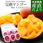  Kumamoto префектура из прямая поставка от производителя . север блок ... фруктовое дерево ... манго превосходящий товар большой шар 2L размер 6 шар ( всего 2.1 kilo и больше ) бесплатная доставка . север уезд ....from Kyushu 