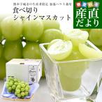  Kumamoto префектура из прямая поставка от производителя Kumamoto . замок город. производство человек ограничение . температура house культивирование еда . порез . автомобиль in мускат всего 600g( примерно 300g×2 упаковка ) бесплатная доставка from Kyushu виноград виноград ..