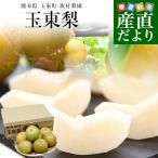 熊本県から産地直送 玉東町 坂村梨園 玉東梨 あきづき 秀品 約3キロ(8玉から10玉)送料無料 なし ナシ 秋月
