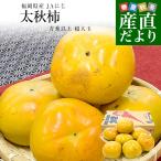  Fukuoka префектура производство JA.. futoshi осень хурма синий превосходящий и больше супер большой шар 4L из 5L размер примерно 3.5 kilo (8 шар из 9 шар ) бесплатная доставка хурма .. хочет .....