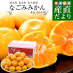  Kumamoto префектура из прямая поставка от производителя мир вода блок . дерево сельское хозяйство .... мандарин превосходящий товар M из S размер примерно 5 kilo (50 шар из 60 шар передний и задний (до и после) ) бесплатная доставка mi can меласса . мир вода 