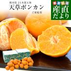 ショッピング家庭用 【家計応援価格！】熊本県から産地直送 JA本渡五和 天草ポンカン ご家庭用 2LからSサイズ 約2.5キロ×2箱 （合計30玉から50玉前後） 送料無料 ぽんかん 柑橘