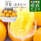 【家計応援価格！】熊本県から産地直送 熊本県産 甘夏（あまなつ） ご家庭向け 無印 Mから2Lサイズ 約5キロ(合計12玉から16玉前後) 送料無料 柑橘　かんきつ